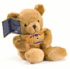 Volatile Beddy Bear Lichtbruin